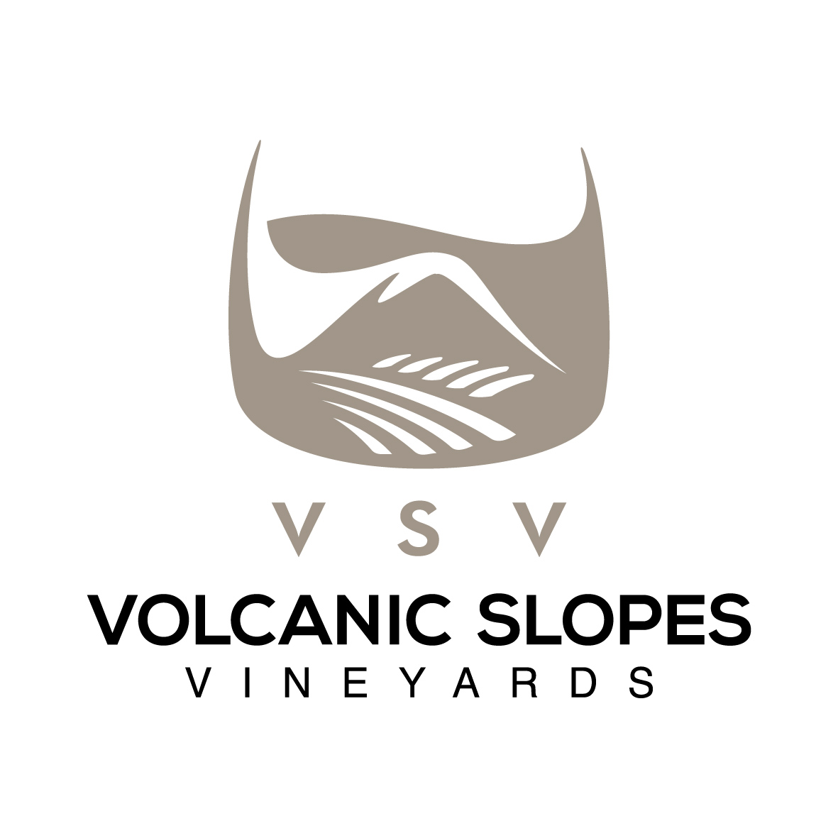 logo_vsv_2-01 (3).jpg